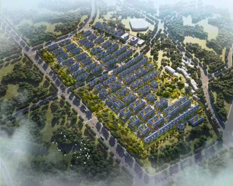 項目名稱